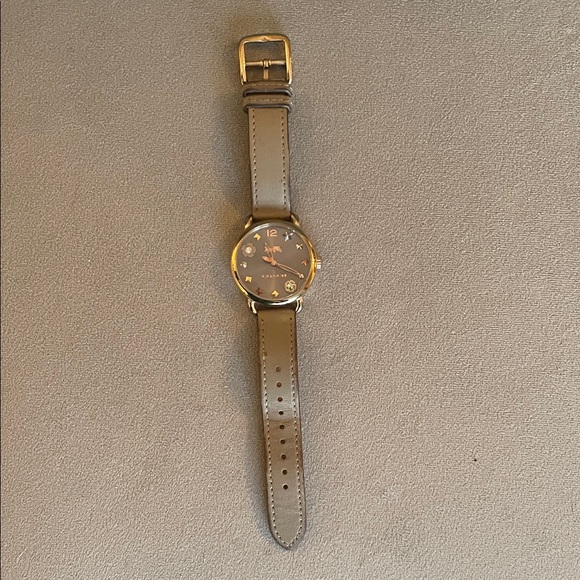 Coach Taupe Leather Strap Watch with Grey Sunray Dial - Picture 4 of 12